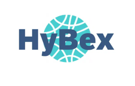 Hybex webinar on the pilot market platform tool